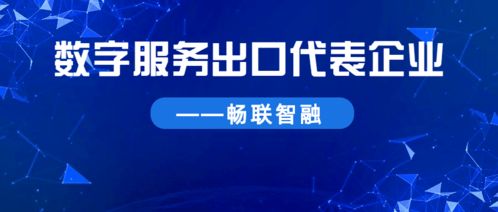 聚焦數(shù)字服務(wù)出口 服務(wù)為本，暢聯(lián)全球數(shù)字技術(shù)服務(wù)
